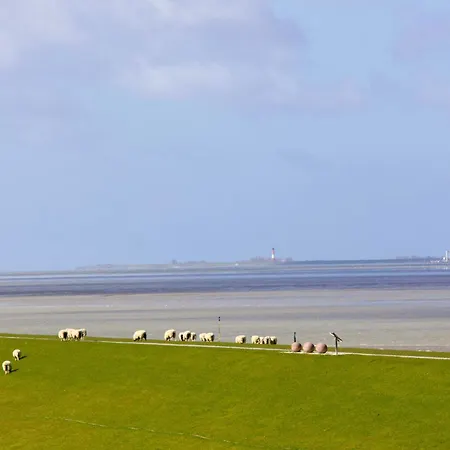 Watt'n Blick